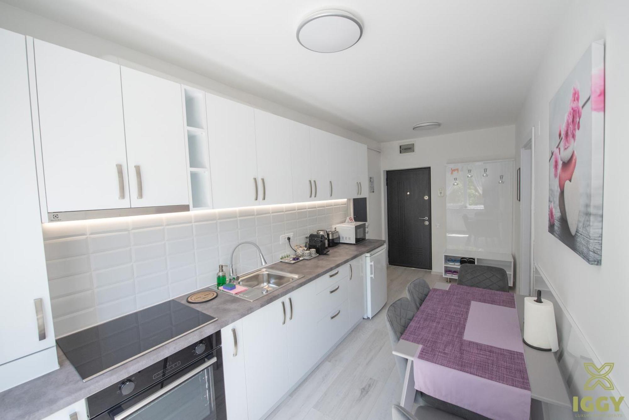 Iggy Premium Apartment Hunedoara Exterior photo